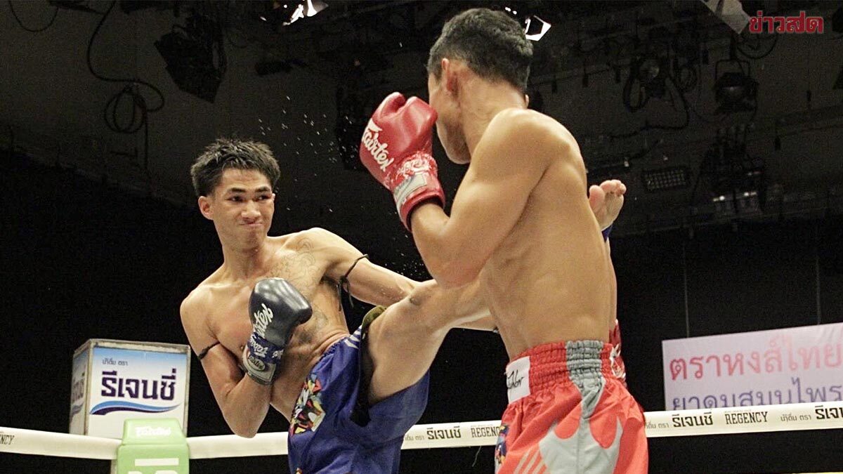 ยอดเหล็กแหลม ผงาดคว้าแชมป์มวยรอบปูนเสือ ครั้งที่ 24 ประกาศเกิดดาวรุ่งมวยไทยคนใหม่